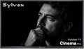 SYLVOX Outdoor TV, 85'' Mini LED QLED, 3500 Nits Extreme Brightness, 120Hz