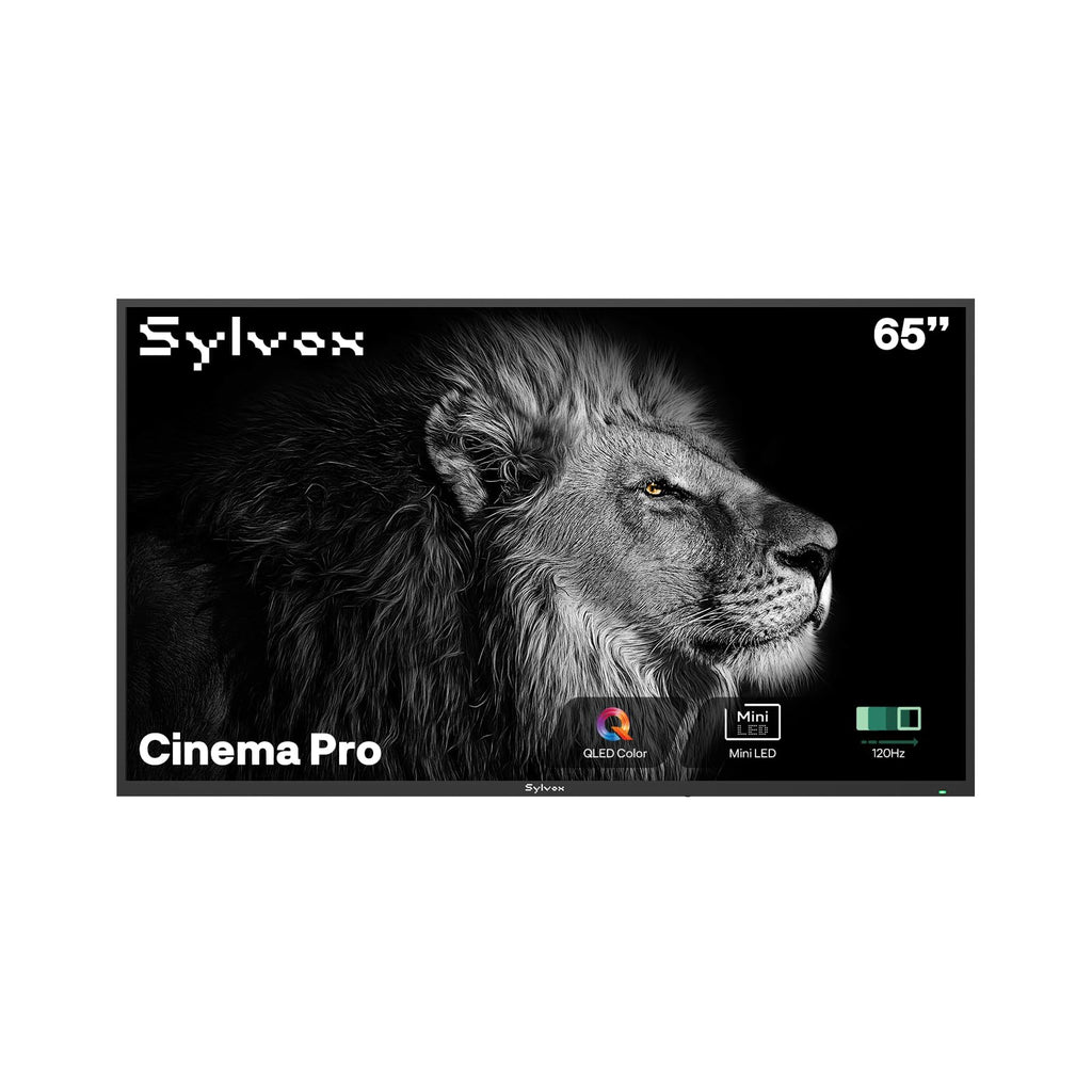 SYLVOX Outdoor TV, 55 inch Smart Waterproof Outdoor TV, 4K UHD Weatherproof