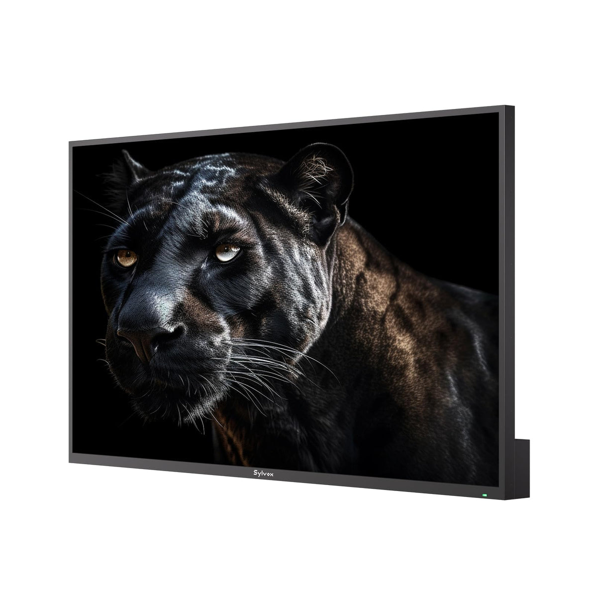 SYLVOX Outdoor TV, 55 inch Smart Waterproof Outdoor TV, 4K UHD Weatherproof