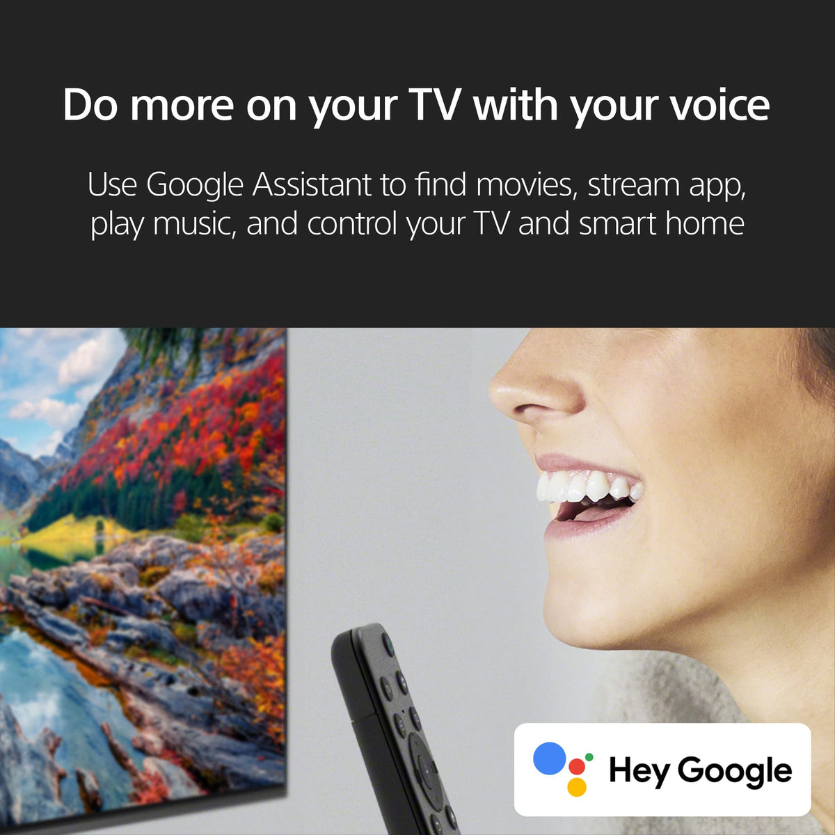 Sony 55 Inch BRAVIA 2 II LED 4K HDR Smart Google TV (K-55S20M2)