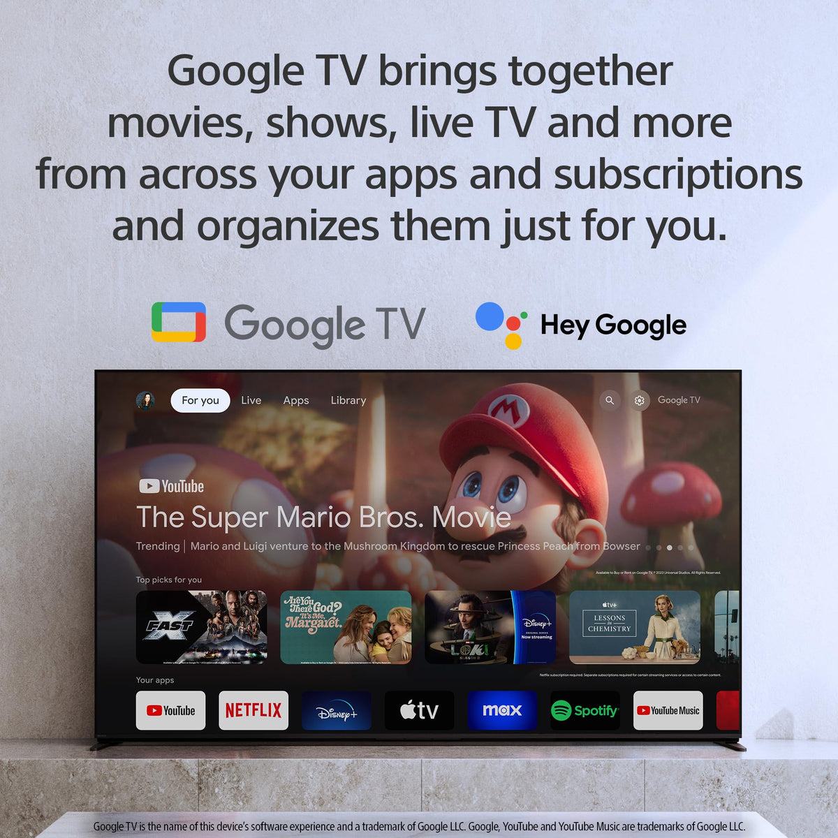 Sony 65 Inch BRAVIA 3 LED 4K HDR Smart Google TV (K-65S30)