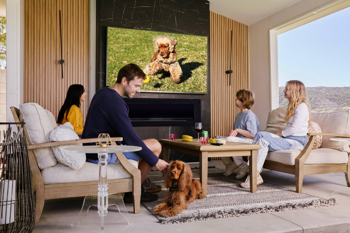 SYLVOX 65'' Outdoor TV, Premium Ultra-Narrow Bezel, IP56 Weatherproof, 1,000-Nit 4K UHD Anti-Glare Screen, Smart Google TV, All-Metal Durable Outdoor TV for Deck, Patio, Partial Sun (Frameless, 2026)